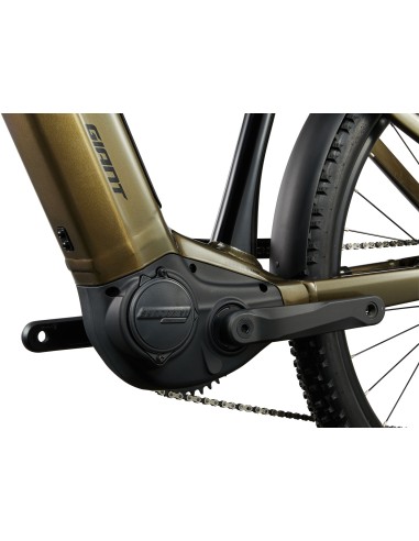Elektrinis dviratis GIANT Anytour X E+ 3, 27.5" Pirito ruda (XL)