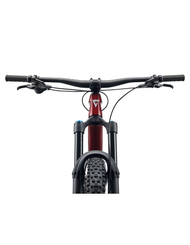 Kalnų dviratis GIANT Reign Advanced 2, 29" Sangria/Carbon (M)
