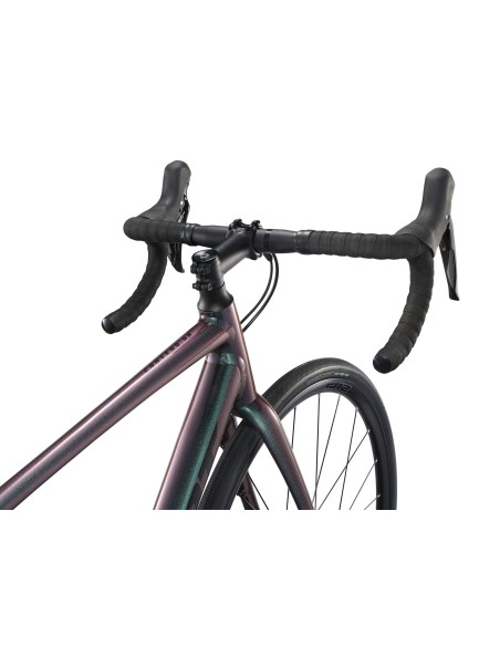 Plento dviratis GIANT Contend AR 2, tamsiai vaivorykštinis (M/L)