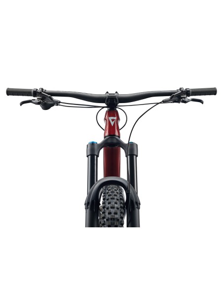 Kalnų dviratis GIANT Reign Advanced 2, 29" Sangria/Carbon (L)