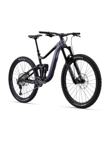 Kalnų dviratis GIANT Reign 1, 29" mėlynas laumžirgis/juodas (L)