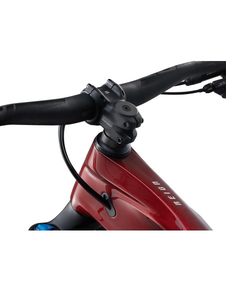 Kalnų dviratis GIANT Reign Advanced 2, 29" Sangria/Carbon (XL)