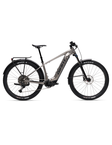 Elektrinis dviratis GIANT Fathom E+ 1 EX, 29" pilkos spalvos (M)