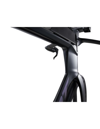 Plento dviratis GIANT Trinity Advanced SL 0, anglies pluošto/prizminio miglos imitacijos (M)