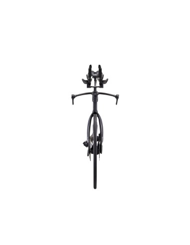 Plento dviratis GIANT Trinity Advanced SL 0, anglies pluošto/prizminio miglos imitacijos (M)