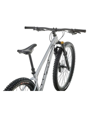 Dviratis KONA Honzo ESD, 29" blizgus dirbtinis chromas (sidabrinis) (L)