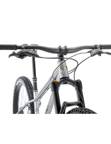 Dviratis KONA Honzo ESD, 29" blizgus dirbtinis chromas (sidabrinis) (L)
