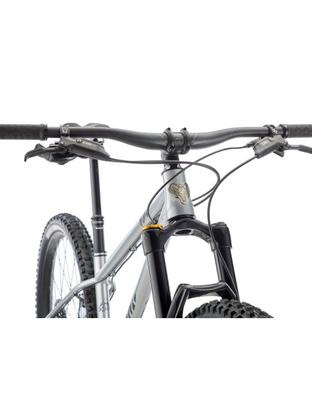 Dviratis KONA Honzo ESD, 29" blizgus dirbtinis chromas (sidabrinis) (L)