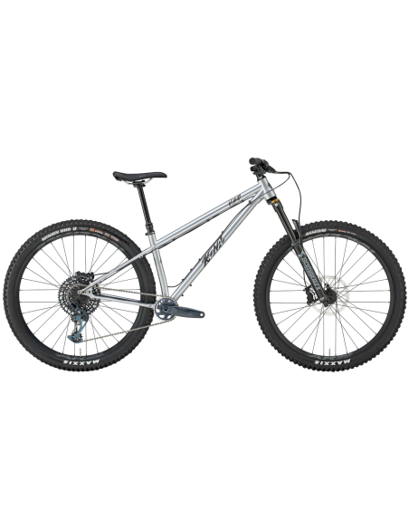 Dviratis KONA Honzo ESD, 29" blizgus dirbtinis chromas (sidabrinis) (XL)