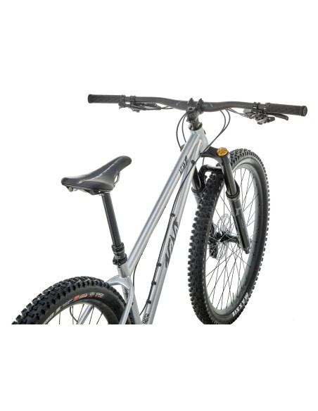 Dviratis KONA Honzo ESD, 29" blizgus dirbtinis chromas (sidabrinis) (XL)