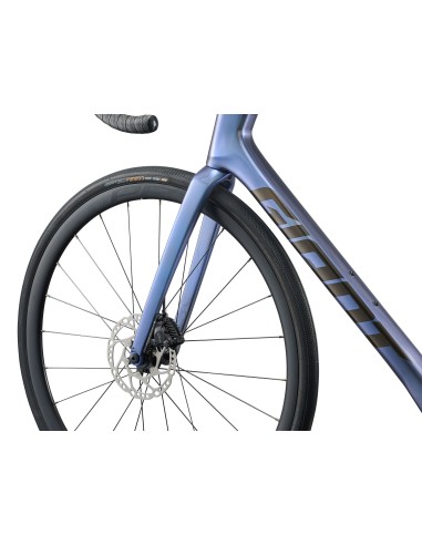 Plento dviratis GIANT Defy Advanced 1 (2026) Thundercloud (L)