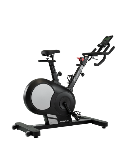 Sukimo ratas BH FITNESS Xcalibur Magnetic Silver