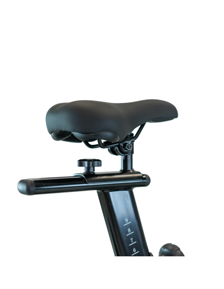 Sukimo ratas BH FITNESS Xcalibur Magnetic Silver
