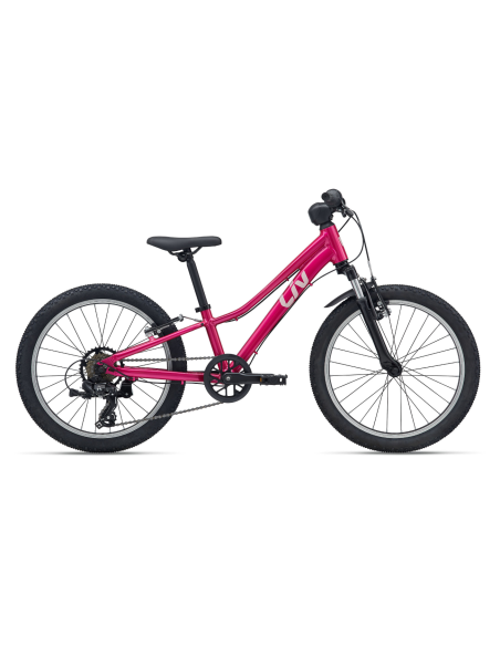 Vaikiškas dviratis LIV Tempt 20, Virtual Pink