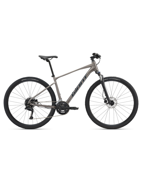 Dviratis GIANT Roam 3, metalinis (S)