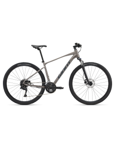 Dviratis GIANT Roam 3, metalinis (M)