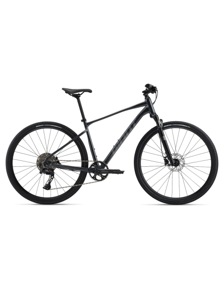 GIANT Roam 1 dviratis, anglies spalvos (M)