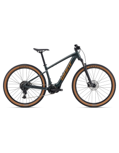 Elektrinis dviratis GIANT Talon E+ (2026) 29" Asfalto žalia (L)