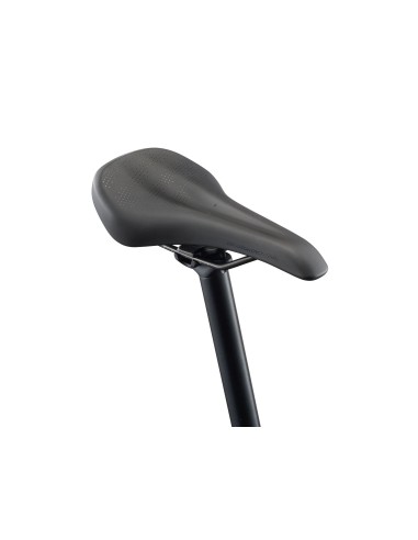 Elektrinis dviratis GIANT Talon E+ (2026) 29" Asfalto žalia (L)