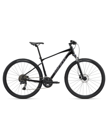 GIANT Roam 2 dviratis, juodas (XL)