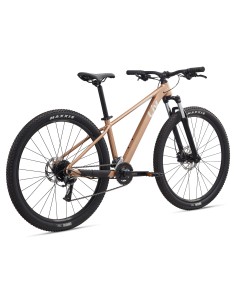 Moteriškas dviratis LIV Tempt 3, 29" Golden Wheat (S) 2