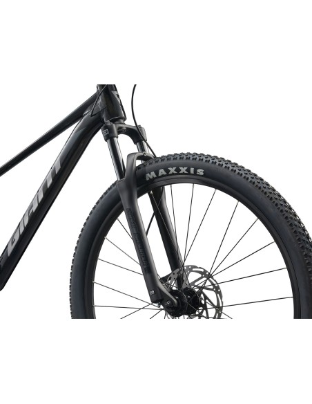 Dviratis GIANT Talon 3, 29" Panther (L)