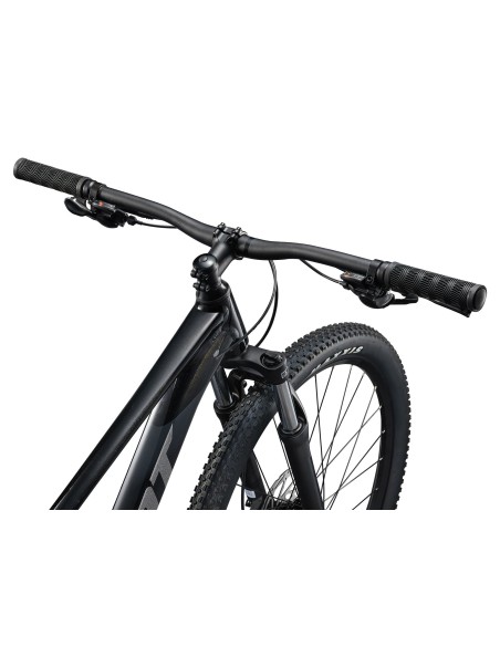 Dviratis GIANT Talon 3, 29" Panther (L)