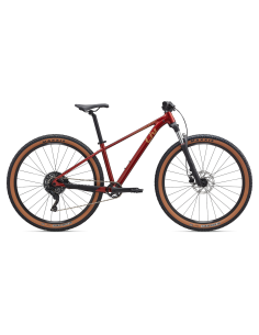 Moteriškas dviratis LIV Tempt 2, 29" Mars Dust (S)