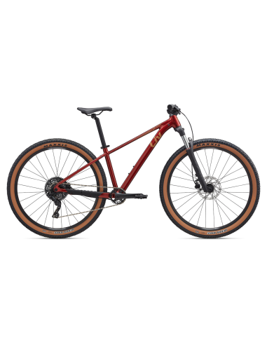 Moteriškas dviratis LIV Tempt 2, 29" Mars Dust (S)