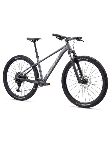 Dviratis GIANT Talon 1, 29" anglies pilka (M)