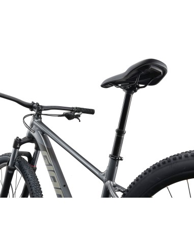 Dviratis GIANT Talon 1, 29" anglies pilka (M)
