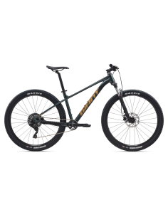 Dviratis GIANT Talon 2, 29" Asfalto žalias (M)