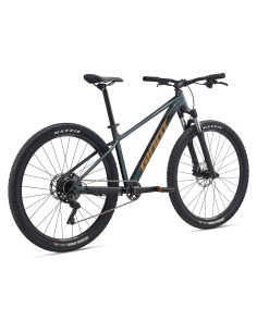 Dviratis GIANT Talon 2, 29" Asfalto žalias (M) 2