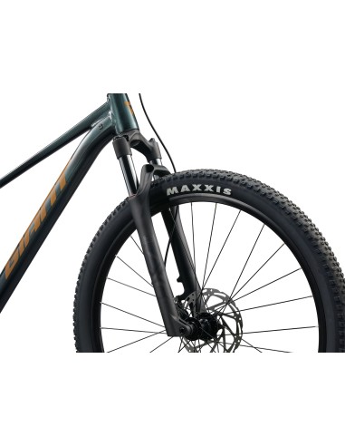 Dviratis GIANT Talon 2, 29" Asfalto žalias (M)