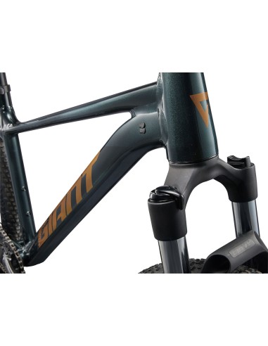 Dviratis GIANT Talon 2, 29" Asfalto žalias (M)