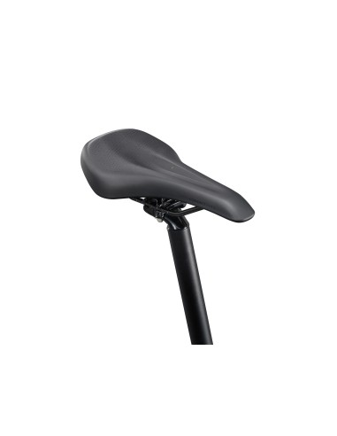 Dviratis GIANT Talon 2, 29" Asfalto žalias (M)