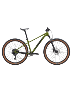 Dviratis GIANT Talon 2, 29" Dried Matcha (S)