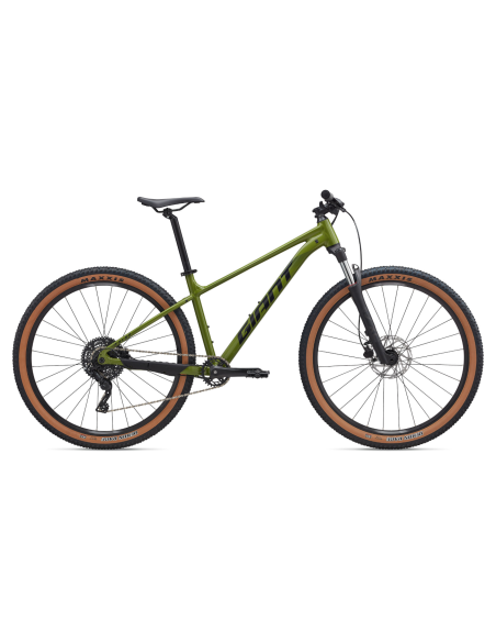 Dviratis GIANT Talon 2, 29" Dried Matcha (S)