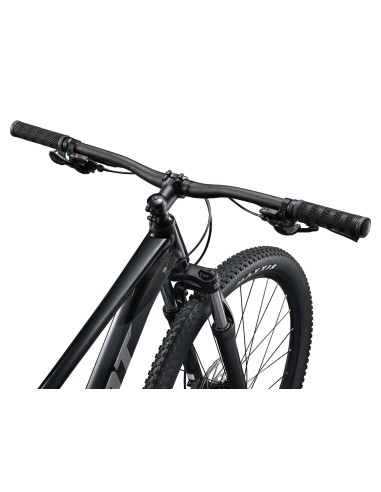 Dviratis GIANT Talon 3, 29" Panther (XL)