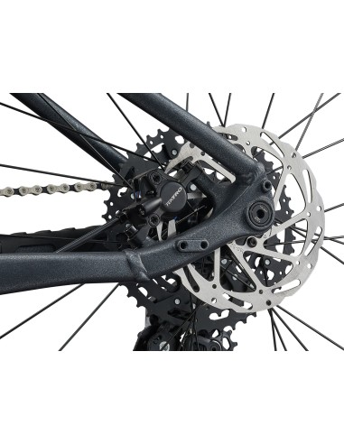 Moteriškas dviratis LIV Tempt 1, 29" Black Diamond (M)