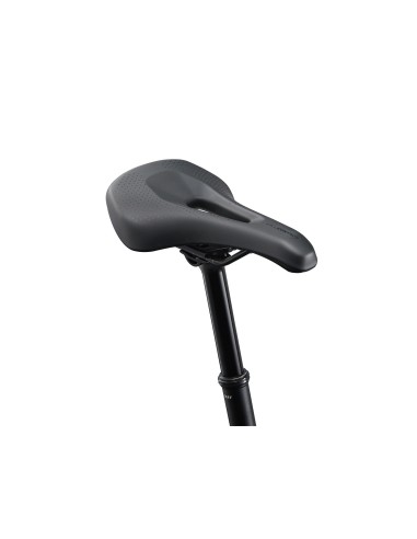 Moteriškas dviratis LIV Tempt 1, 29" Black Diamond (M)