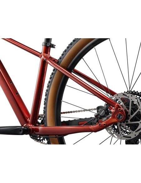 Moteriškas dviratis LIV Tempt 2, 29" Mars Dust (M)