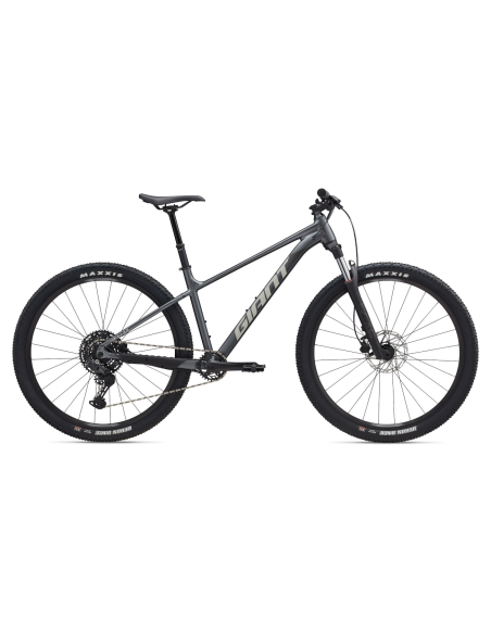 Dviratis GIANT Talon 1, 29" anglies pilka (L)