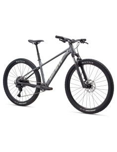 Dviratis GIANT Talon 1, 29" anglies pilka (L) 2