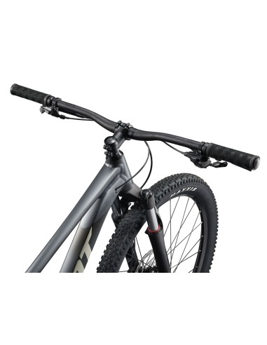 Dviratis GIANT Talon 1, 29" anglies pilka (L)