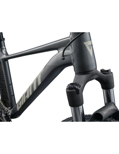 Dviratis GIANT Talon 1, 29" anglies pilka (L)