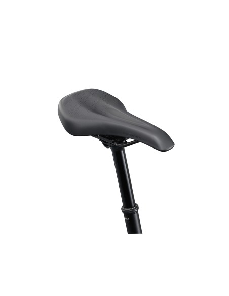 Dviratis GIANT Talon 1, 29" anglies pilka (L)