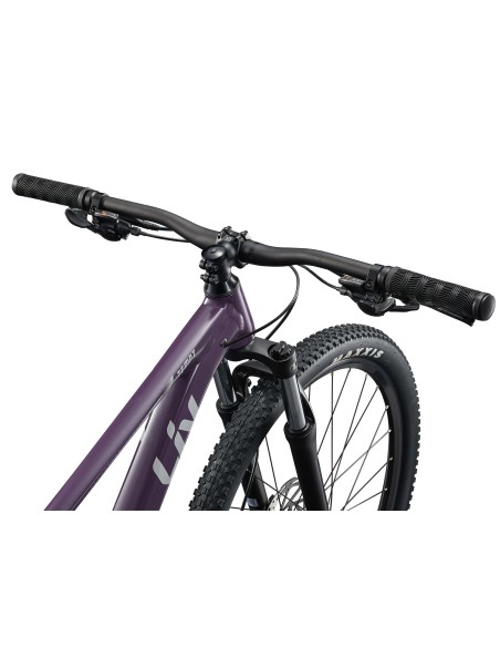 Moteriškas dviratis LIV Tempt 3. 29" Tyrian Purple (L)
