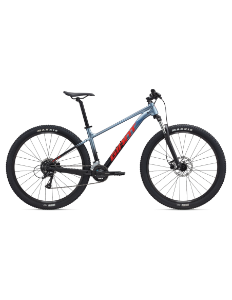 Dviratis GIANT Talon 3, 29" Šerkšno sidabro (M)