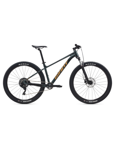 Dviratis GIANT Talon 2, 29" Asfalto žalias (L)